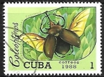 Stamps Cuba -  Insectos -Megasoma elephas
