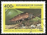 Stamps Guinea -  Insectos - Sternocera castanea