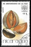 Stamps Nicaragua -  Frutas - Zapote