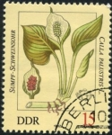 Stamps Germany -  Flor