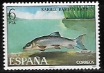 Stamps Spain -  Peces -Barbus barbus)