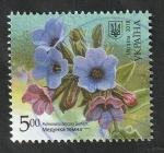 Stamps Ukraine -  1372 - Planta medicinal, Pulmonaria obscura Dumort