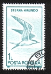 Stamps Romania -  Aves Acuáticas 1991