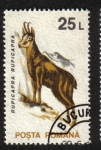 Stamps Romania -  Mamiferos