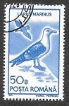 Stamps Romania -  3639 - Gavión Atlántico