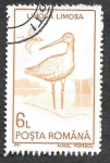 Stamps Romania -  3647 - Aguja Colinegra