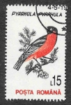 Stamps Romania -  3814 - Camachuelo Común