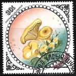 Stamps Mongolia -  Setas - Cantharellus Cibarius