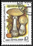 Stamps Russia -  Setas - Amanita pantherina