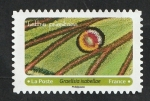 Stamps Europe - France -  Mariposa