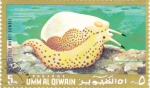 Stamps United Arab Emirates -  fauna marina