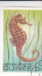 Stamps Guinea -  PEZ- caballito de mar 