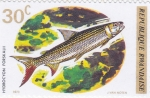 Stamps Rwanda -  PEZ- Hydrocyon forskalii