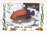 Stamps United Arab Emirates -  pez tropical