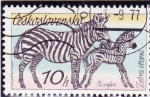 Stamps Czechoslovakia -  CEBRAS