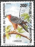 Stamps Cameroon -  aves