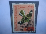 Stamps Venezuela -  Aguaitacaminos (Nyctidromus albcollisi) - Sobretasa 0,20 sobre 055 Céntimo.