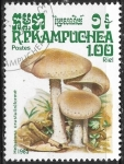 Stamps Cambodia -  Setas - Hebelona crustuliniforme