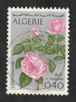 Stamps Algeria -  569 - Flores, Rosas