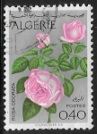 Stamps Algeria -  Rosa odorata