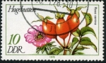 Stamps Germany -  Flor