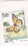 Stamps Cuba -  Mariposa