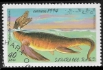 Stamps Morocco -  Animales prehistóricos -pleisiosaurus 