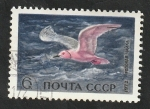 Stamps Russia -  3803 - Ave marina, Mouette rosa
