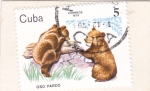 Stamps Cuba -  Oso pardo 
