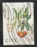Stamps Ireland -  379 - Flor, arbutus unedo