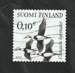 Stamps Finland -  2467 - Glangula hyemalis