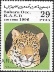 Stamps Morocco -  fauna