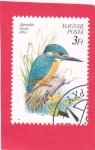 Stamps Hungary -  ave