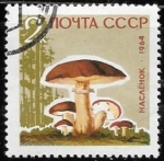 Stamps Russia -  U.R.S.S.