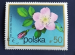 Stamps Poland -  Flores