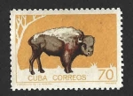 Stamps Cuba -  904 - Zoo de la Habana