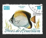 Stamps Cuba -  2814 - Peces de Aquarium