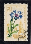 Stamps Romania -  Plantas