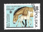 Stamps Poland -  2301 - Caballo Przewalski Silvestre