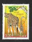Stamps France -  2777 - Jirafa