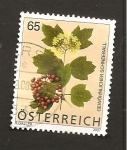 Stamps Austria -  CAMBIADO MB