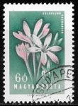 Stamps Hungary -  Hungría
