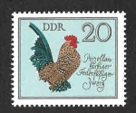 Stamps Germany -  1984 - Gallo Alemán (DDR)