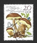 Stamps Germany -  2140 - Setas Comestibles (DDR)