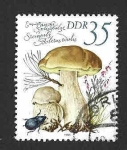 Stamps Germany -  2140 - Setas Comestibles (DDR)