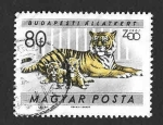 Stamps Hungary -  1350 - Tigre