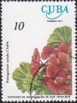 Stamps Cuba -  Pelargonium zonale