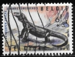 Stamps Belgium -  Bélgica