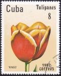 Stamps Cuba -  Tulipán Ringo