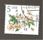Stamps Germany -  CAMBIADO CR